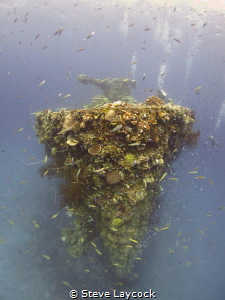 Fujikawa Maru by Steve Laycock 